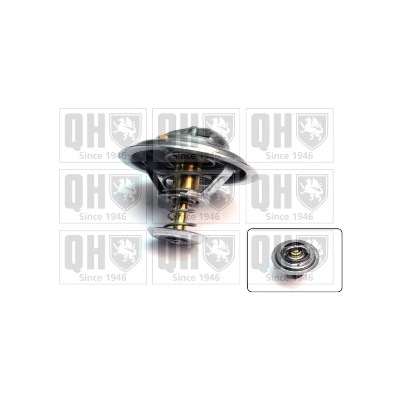 Thermostat d'eau QUINTON HAZELL QTH589