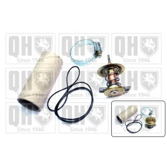 Thermostat d'eau QUINTON HAZELL