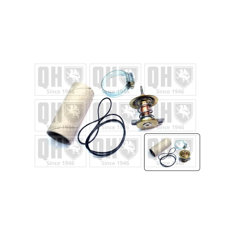 Thermostat d'eau QUINTON HAZELL QTH600K