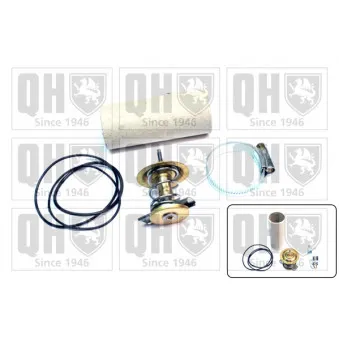 Thermostat d'eau QUINTON HAZELL