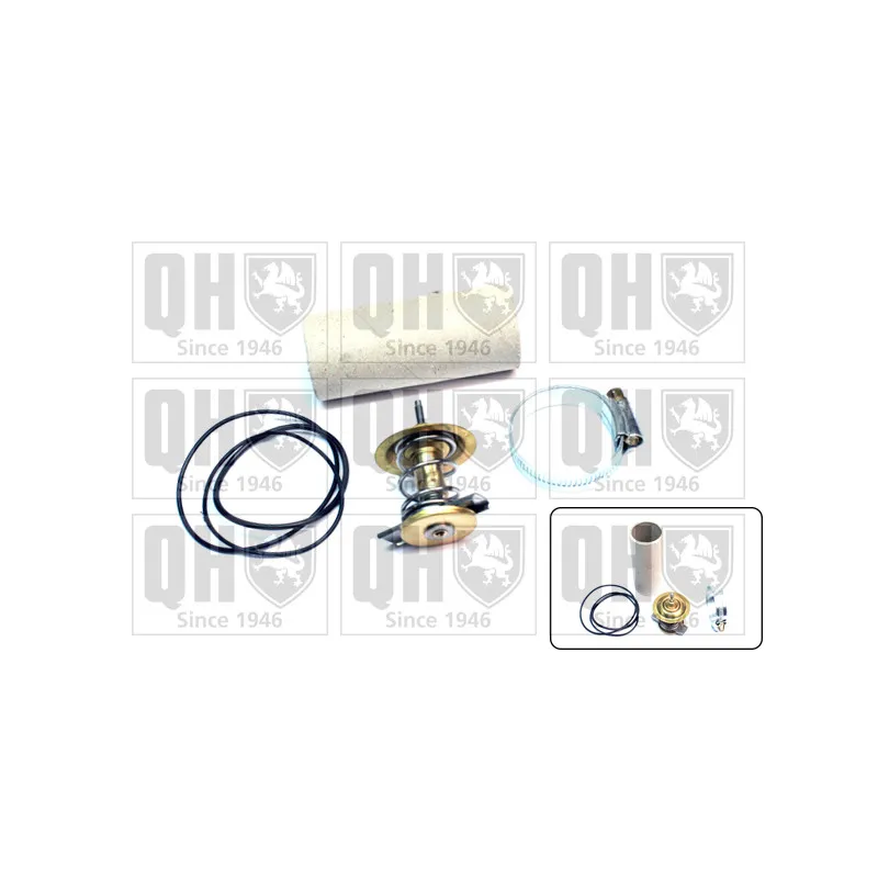 Thermostat d'eau QUINTON HAZELL QTH600K/82