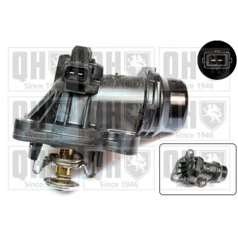 Thermostat d'eau QUINTON HAZELL QTH604K