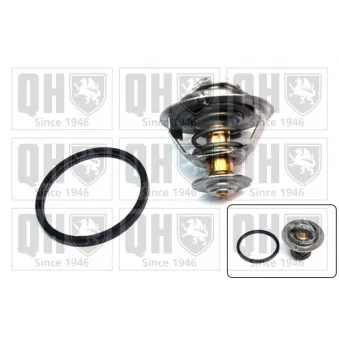 Thermostat d'eau QUINTON HAZELL QTH606K