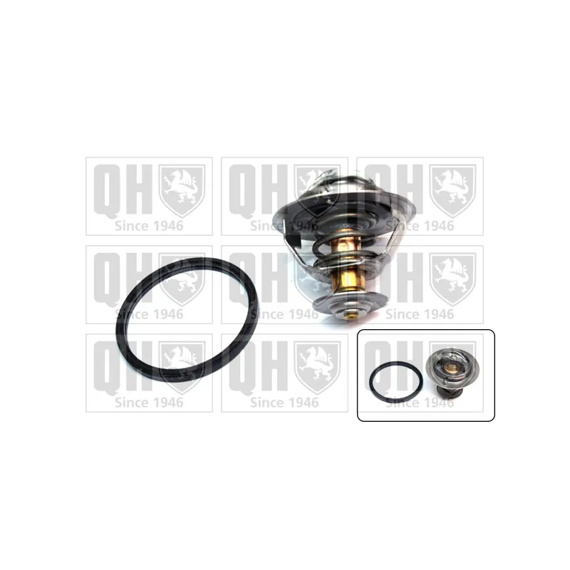 Thermostat d'eau QUINTON HAZELL QTH606K
