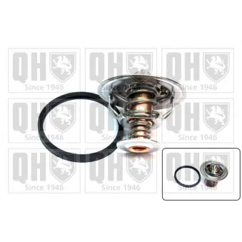 Thermostat d'eau QUINTON HAZELL QTH607K
