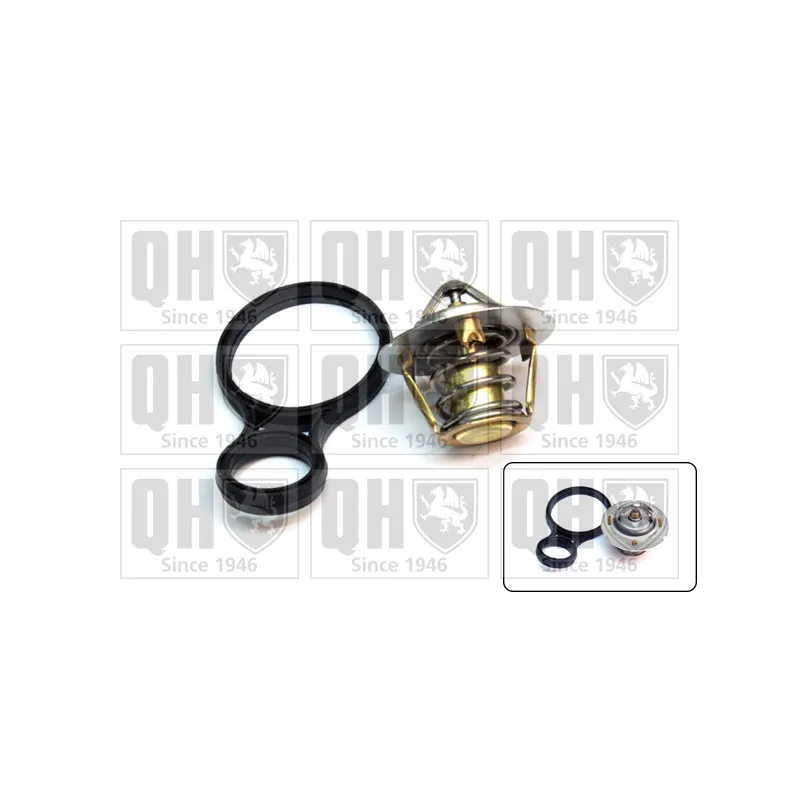 Thermostat d'eau QUINTON HAZELL QTH612K