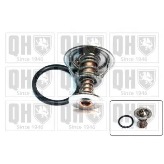 Thermostat d'eau QUINTON HAZELL QTH615K