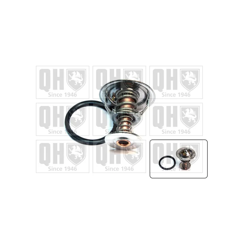 Thermostat d'eau QUINTON HAZELL QTH615K