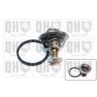 Thermostat d'eau QUINTON HAZELL QTH618K
