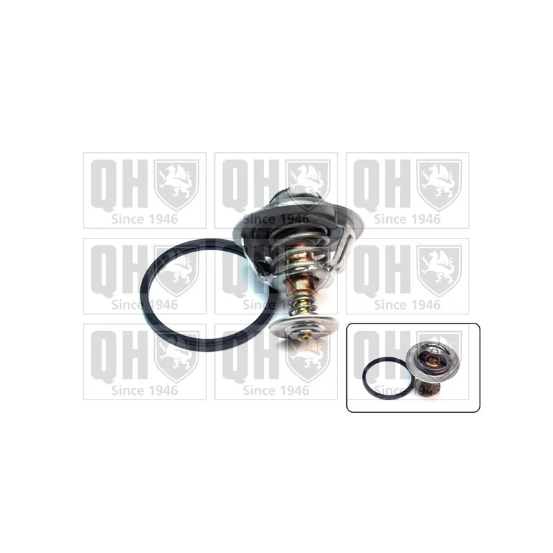 Thermostat d'eau QUINTON HAZELL QTH618K