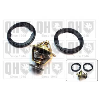 Thermostat d'eau QUINTON HAZELL