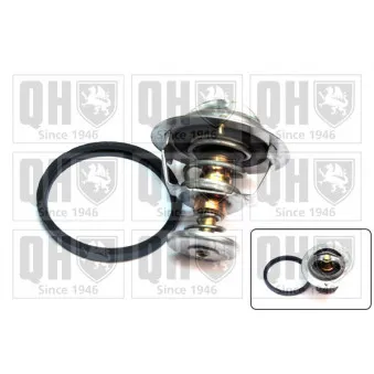 Thermostat d'eau QUINTON HAZELL QTH621K