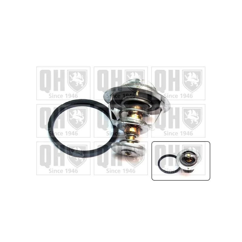 Thermostat d'eau QUINTON HAZELL QTH621K