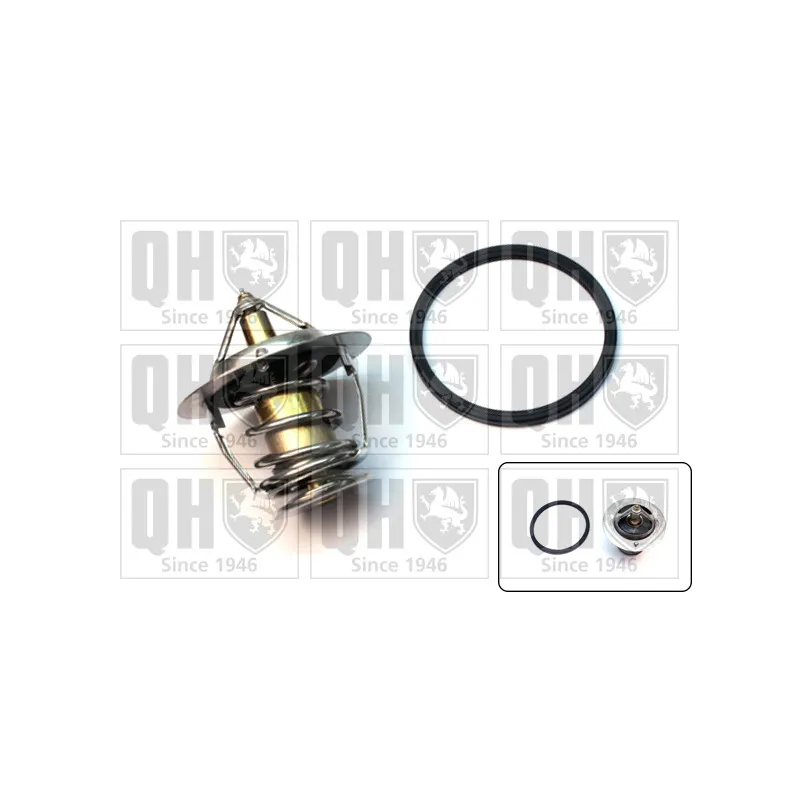 Thermostat d'eau QUINTON HAZELL QTH622K
