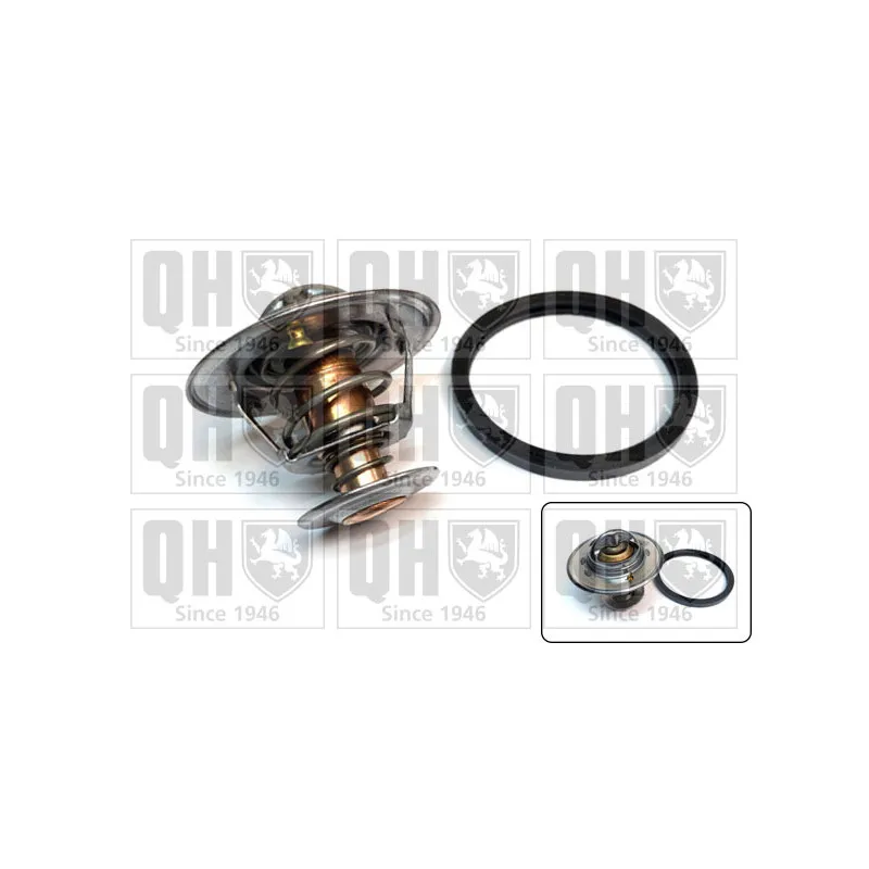 Thermostat d'eau QUINTON HAZELL QTH623K