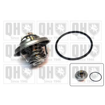 Thermostat d'eau QUINTON HAZELL QTH627K