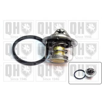 Thermostat, liquide de refroidissement QUINTON HAZELL QTH630K