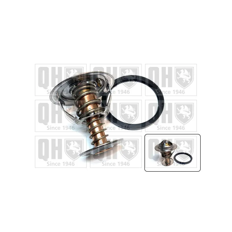 Thermostat d'eau QUINTON HAZELL QTH636K