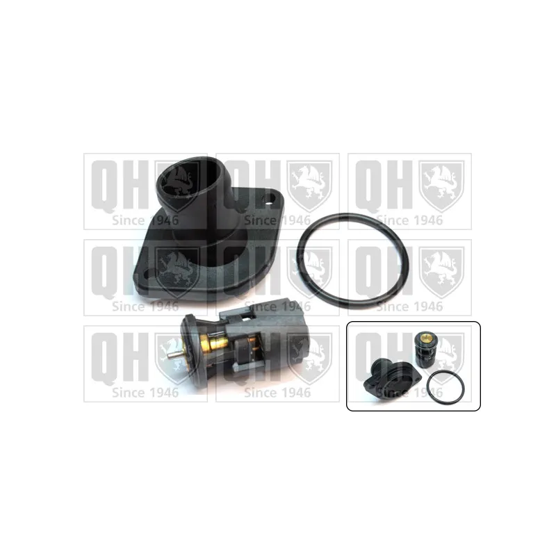 Thermostat d'eau QUINTON HAZELL QTH641K