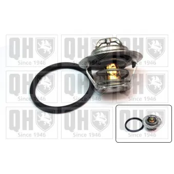 Thermostat d'eau QUINTON HAZELL QTH646K