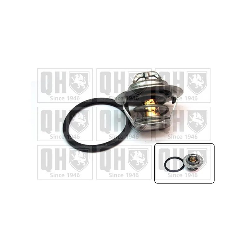 Thermostat d'eau QUINTON HAZELL QTH646K