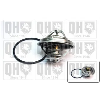 Thermostat d'eau QUINTON HAZELL QTH648K