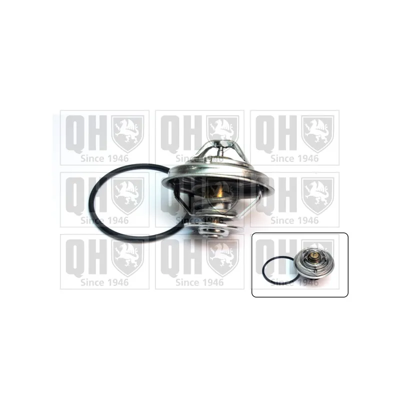 Thermostat d'eau QUINTON HAZELL QTH648K
