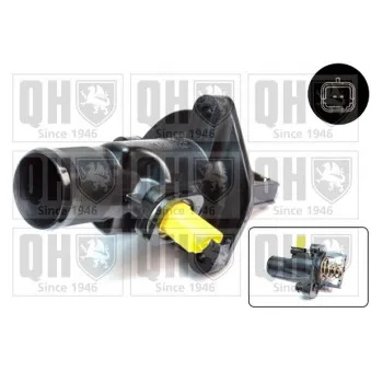 Thermostat d'eau QUINTON HAZELL QTH651K