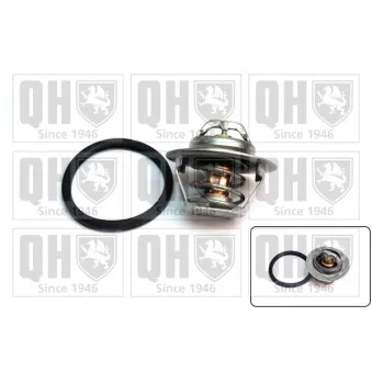 Thermostat d'eau QUINTON HAZELL QTH668K