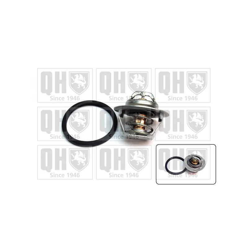 Thermostat d'eau QUINTON HAZELL QTH668K
