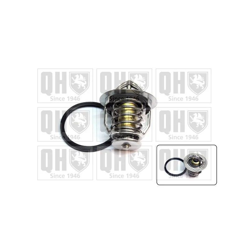 Thermostat d'eau QUINTON HAZELL QTH669K