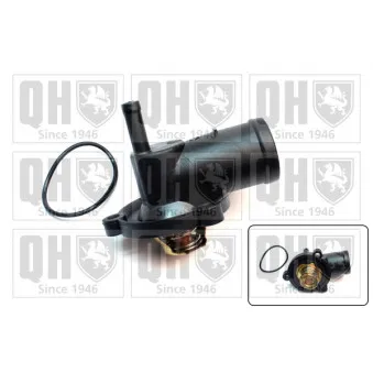 Thermostat d'eau QUINTON HAZELL