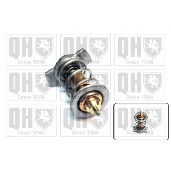 Thermostat d'eau QUINTON HAZELL QTH673