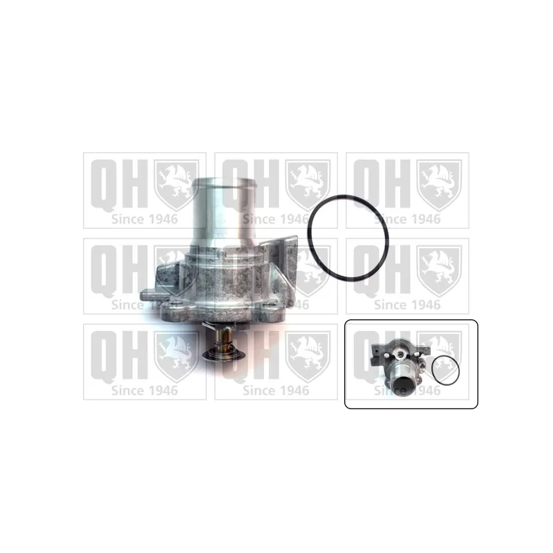 Thermostat d'eau QUINTON HAZELL QTH687K