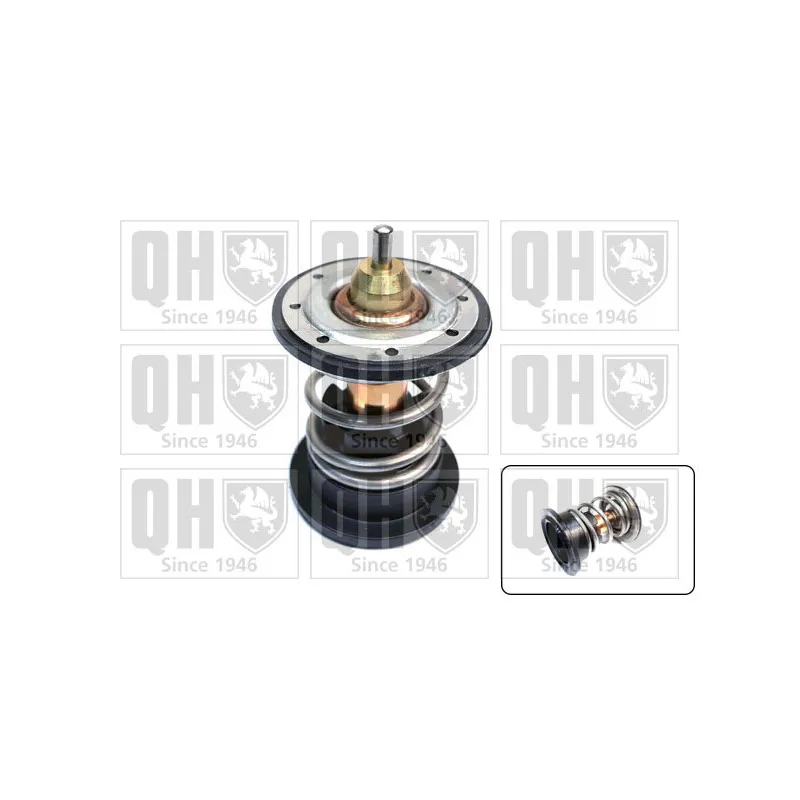 Thermostat d'eau QUINTON HAZELL QTH689K