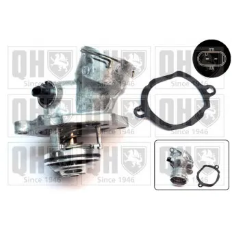 Thermostat d'eau QUINTON HAZELL