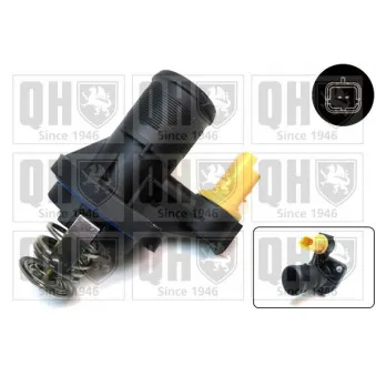 Thermostat d'eau QUINTON HAZELL QTH696K