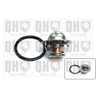 Thermostat d'eau QUINTON HAZELL