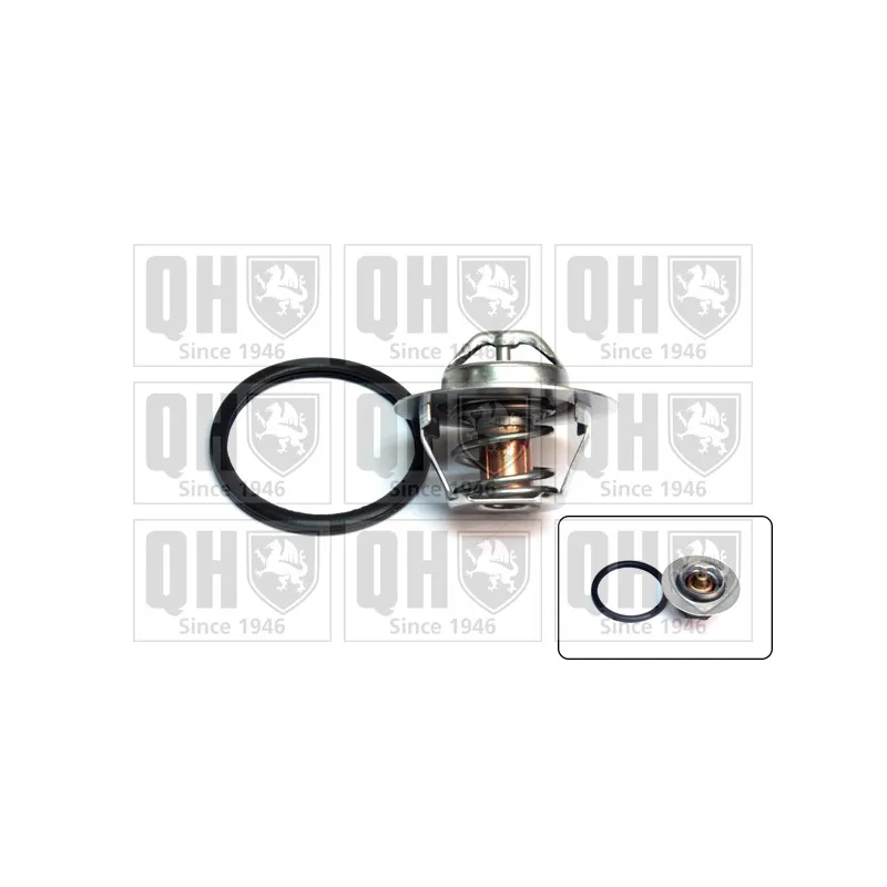 Thermostat d'eau QUINTON HAZELL QTH697K