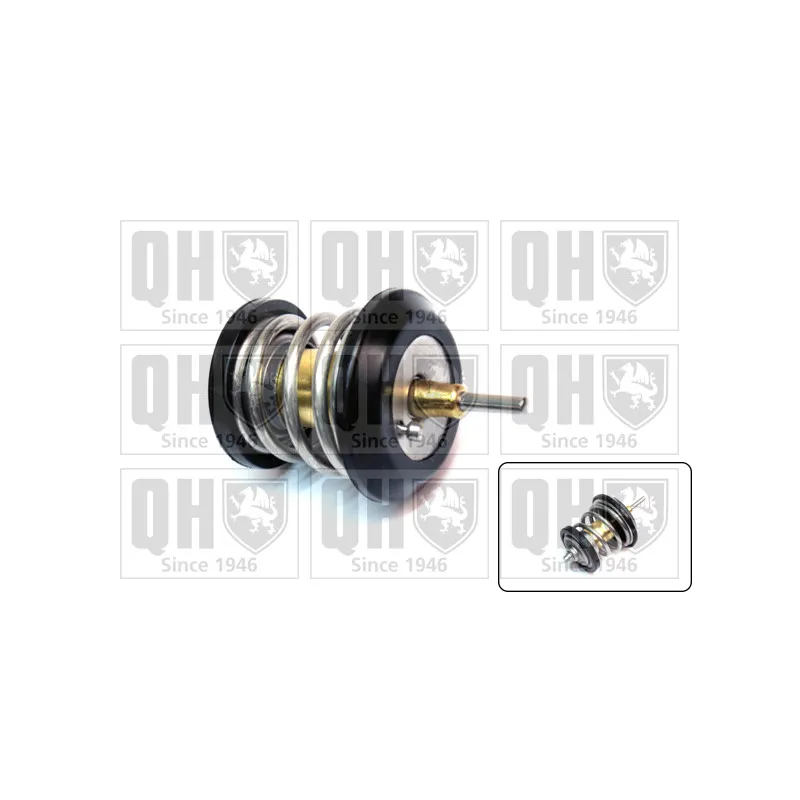 Thermostat d'eau QUINTON HAZELL QTH711K