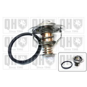 Thermostat d'eau QUINTON HAZELL QTH713K