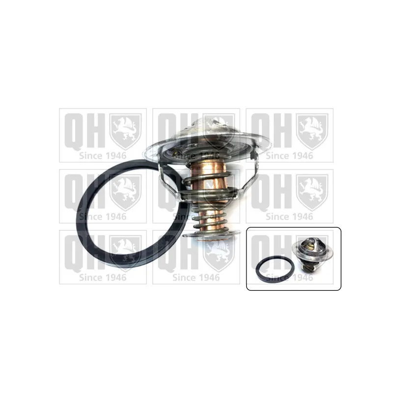 Thermostat d'eau QUINTON HAZELL QTH713K