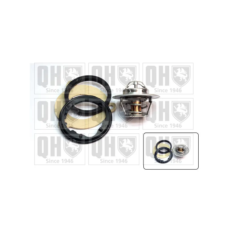 Thermostat d'eau QUINTON HAZELL QTH715K