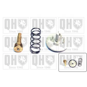 Thermostat d'eau QUINTON HAZELL QTH731K