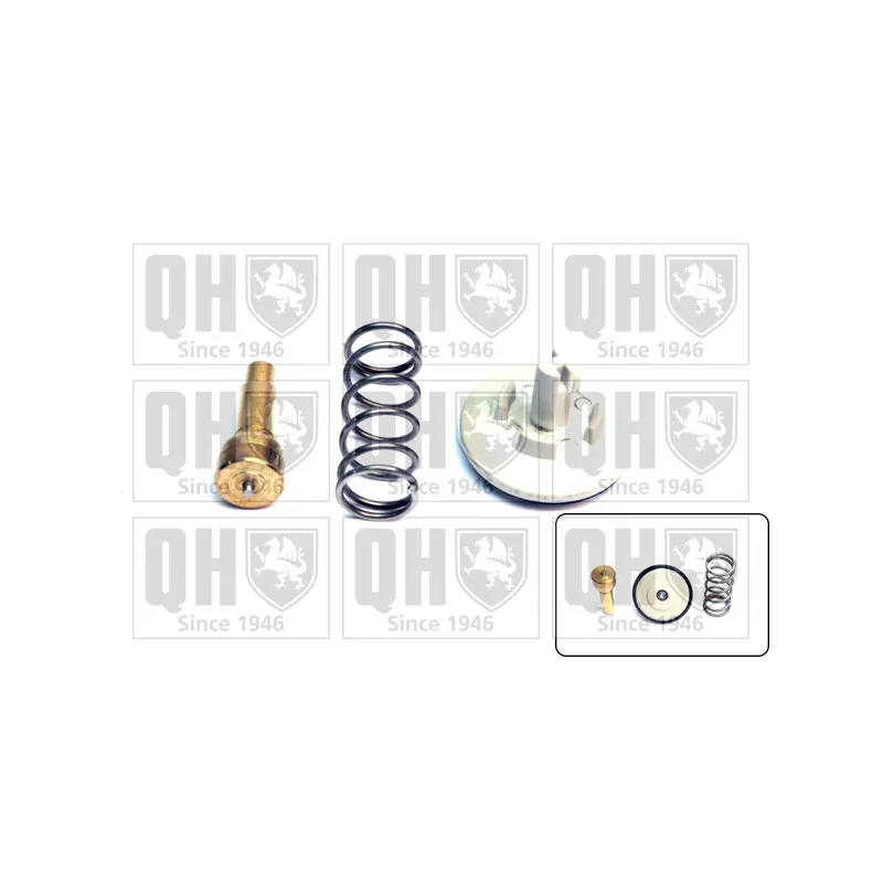 Thermostat d'eau QUINTON HAZELL QTH731K
