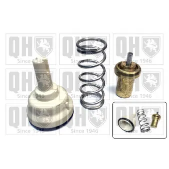 Thermostat d'eau QUINTON HAZELL