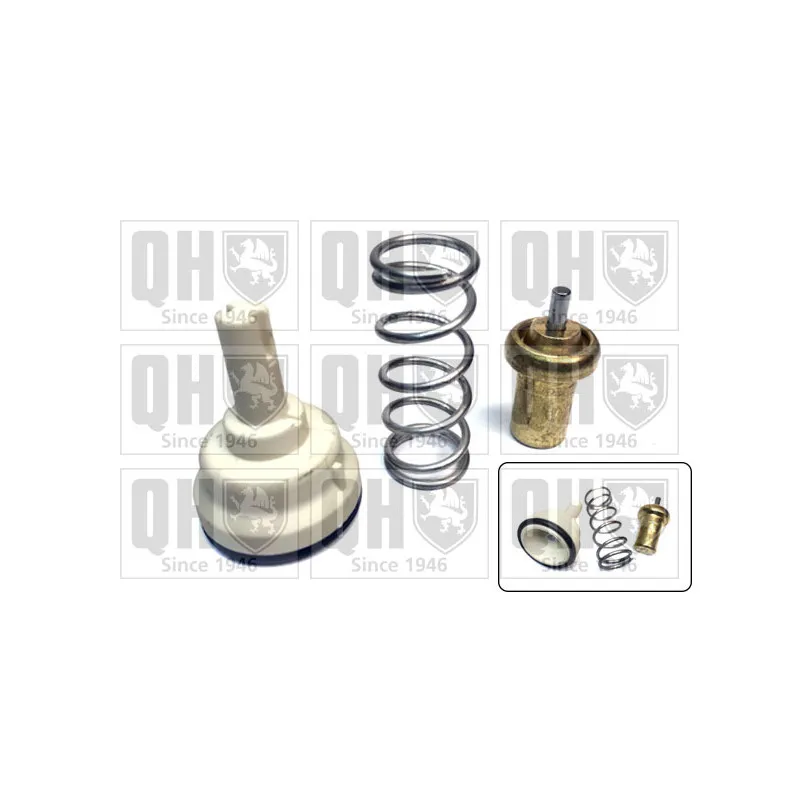 Thermostat d'eau QUINTON HAZELL QTH733K