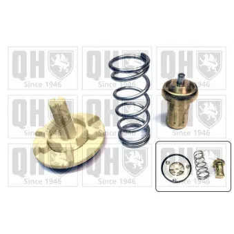 Thermostat d'eau QUINTON HAZELL QTH734K