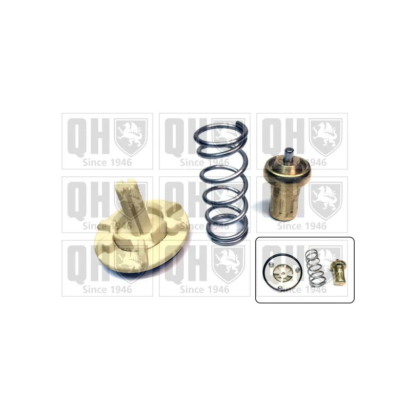 Thermostat d'eau QUINTON HAZELL QTH734K