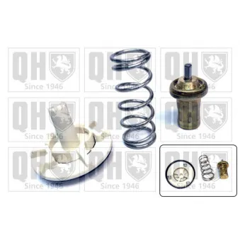Thermostat d'eau QUINTON HAZELL QTH736K